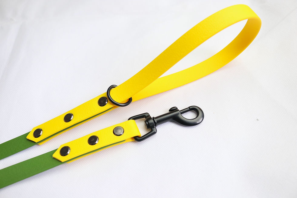 Thumbnail: Lemon Lime Lead