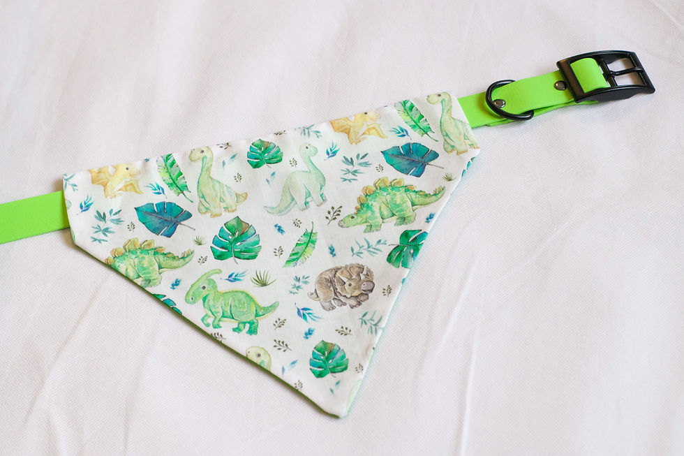 Thumbnail: Dino Bandana