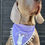 Thumbnail: Hoppy Easter Trim Bandana for Dogs and Cats