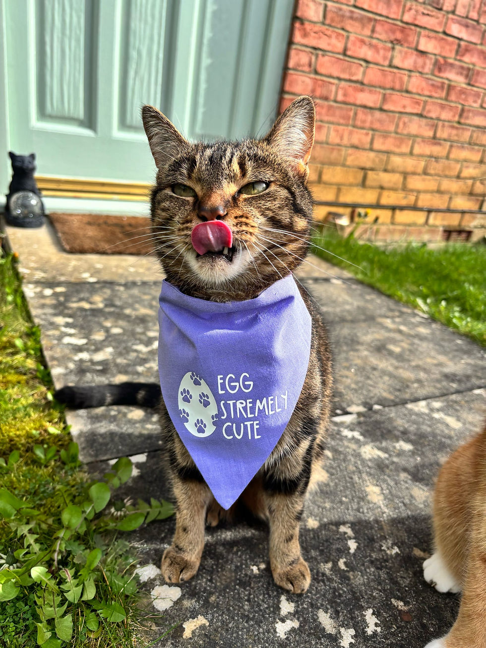 Thumbnail: Eggstremely Cute Bandana