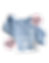 Rainbow Bridge Pet Memorial Clothing