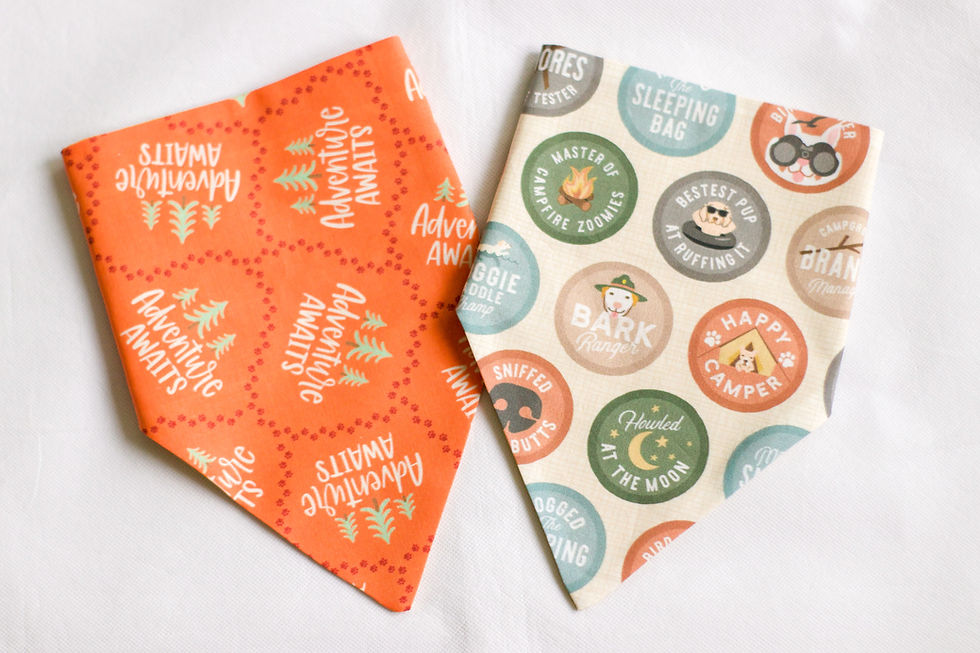 Thumbnail: Adventure Awaits Dog and Cat Bandana