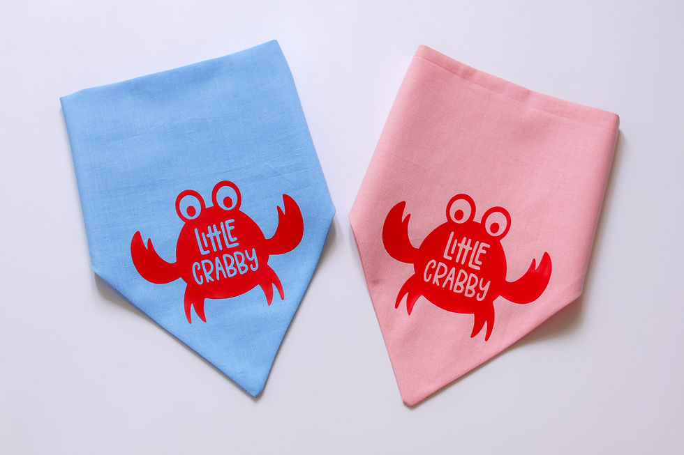 Little Crabby Summer Bandana for Dogs & Cats