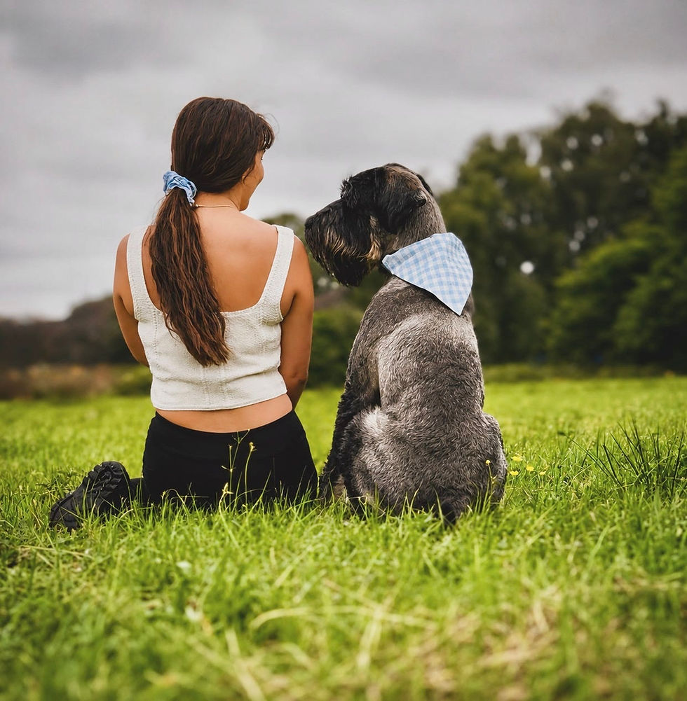 Thumbnail: Sky Blue Picnic Hair Scrunchie