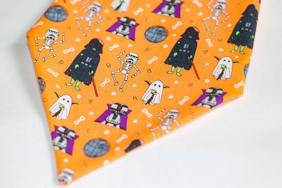 Thumbnail: Star Wars Halloween Bandana