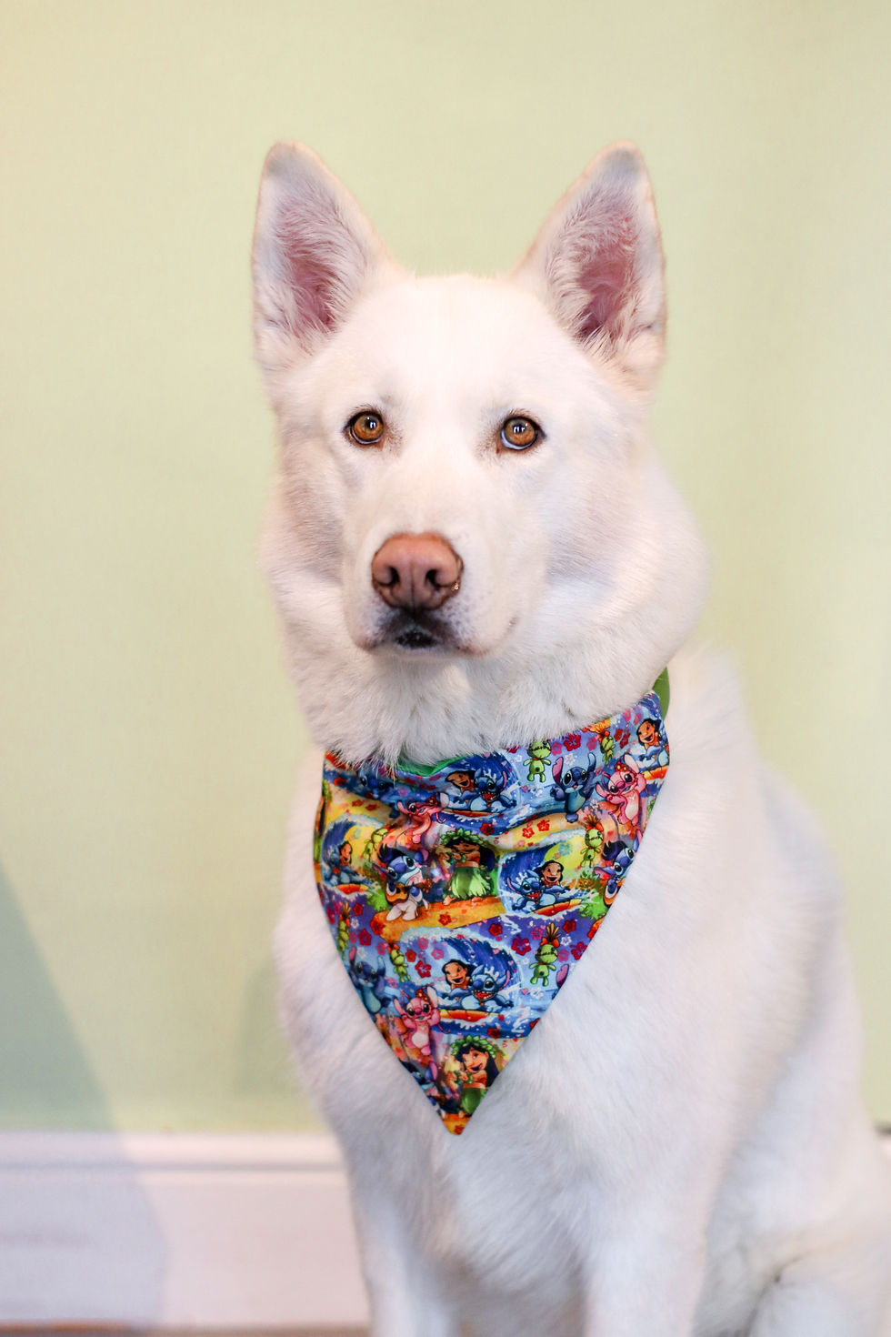 Thumbnail: Hawaiian Roller Coaster Ride Bandana