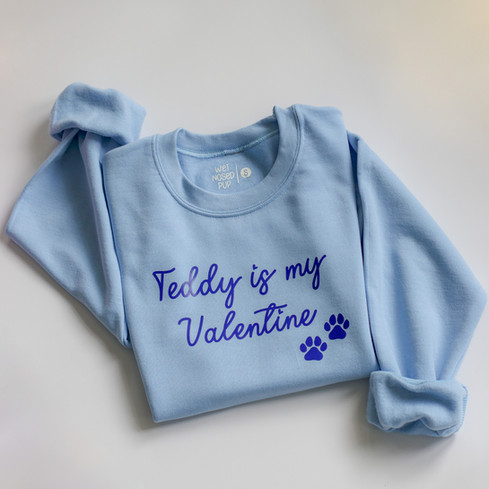 blue sweatshirt saying teddy is my valentine with two paws