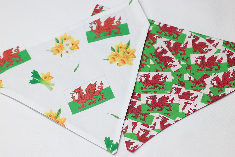 Thumbnail: Cymru Wales Flag Bandana for Dogs & Cats