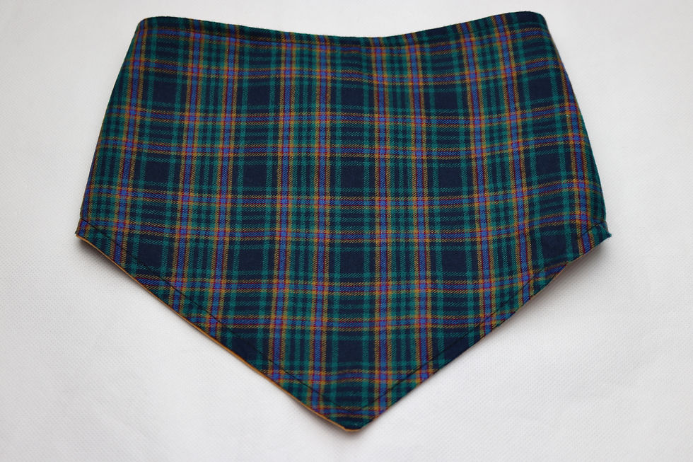 Thumbnail: Highland Tartan Bandana