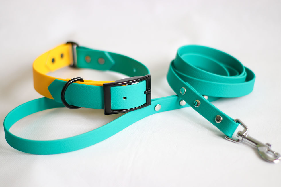 Thumbnail: Pineapple Splash Two Toned Collar