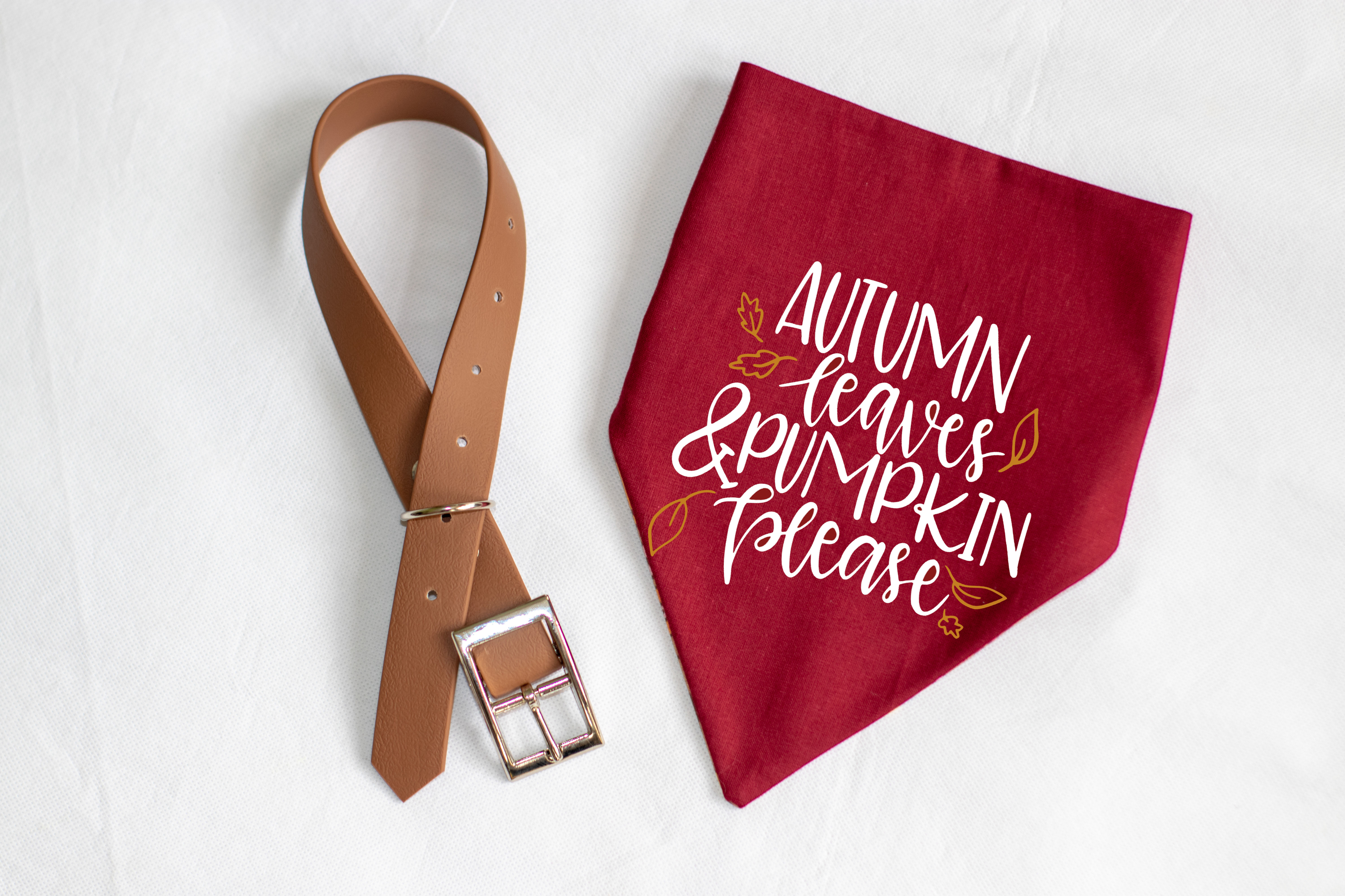 Autumn Leaves & Pumpkin Please Bandana