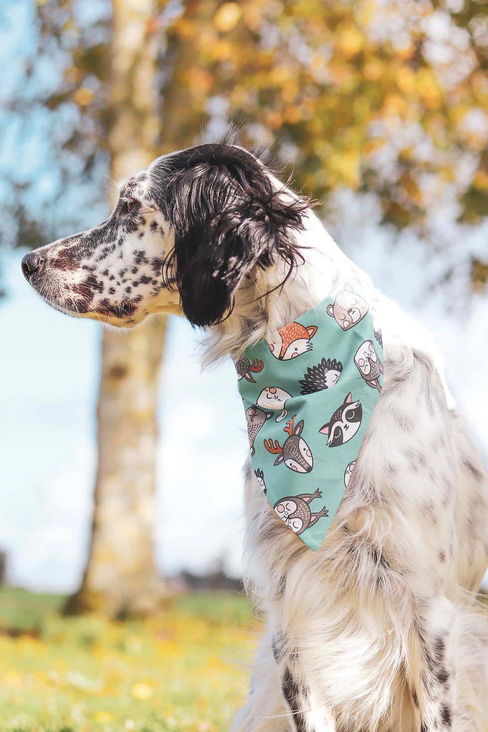 Thumbnail: Forest Critters Bandana