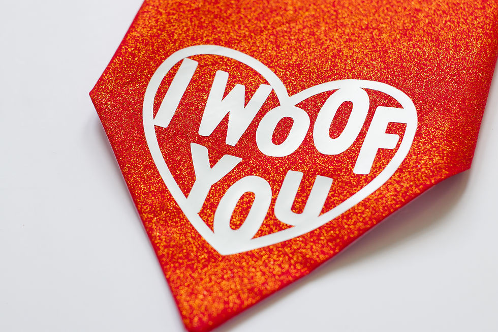 Thumbnail: I Woof You Valentine's Day Dog Bandana