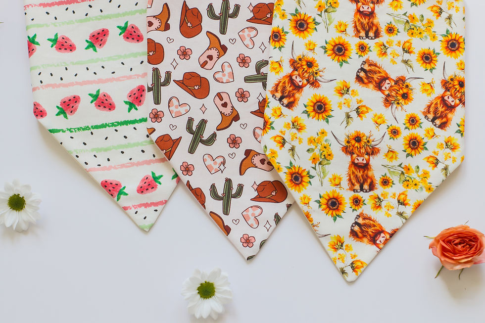 Thumbnail: A highland cow bandana on top of a cowboy bandana on top of a strawberry bandana