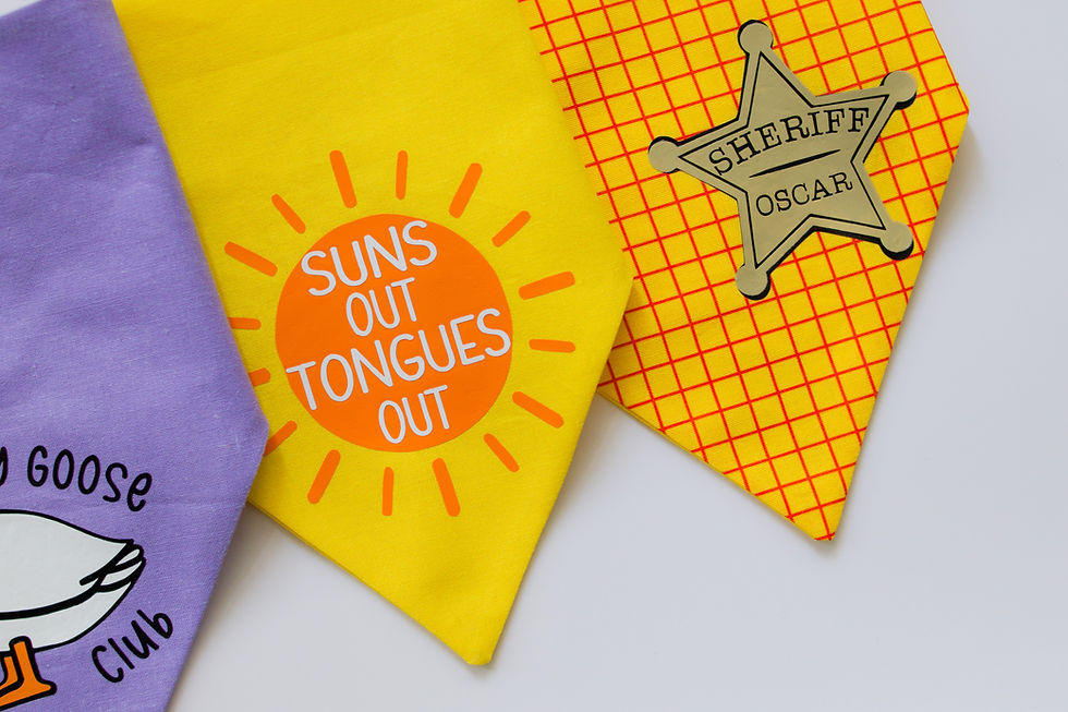 Thumbnail: Sheriff Bandana for Dogs & Cats
