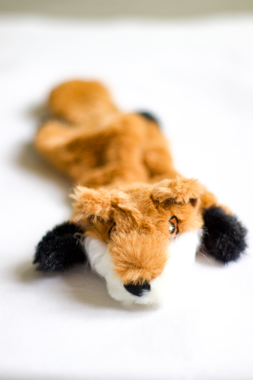 Thumbnail: Franklin Fox Squeaker Teddy