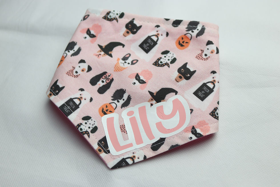Thumbnail: Trick or Treat Bandana
