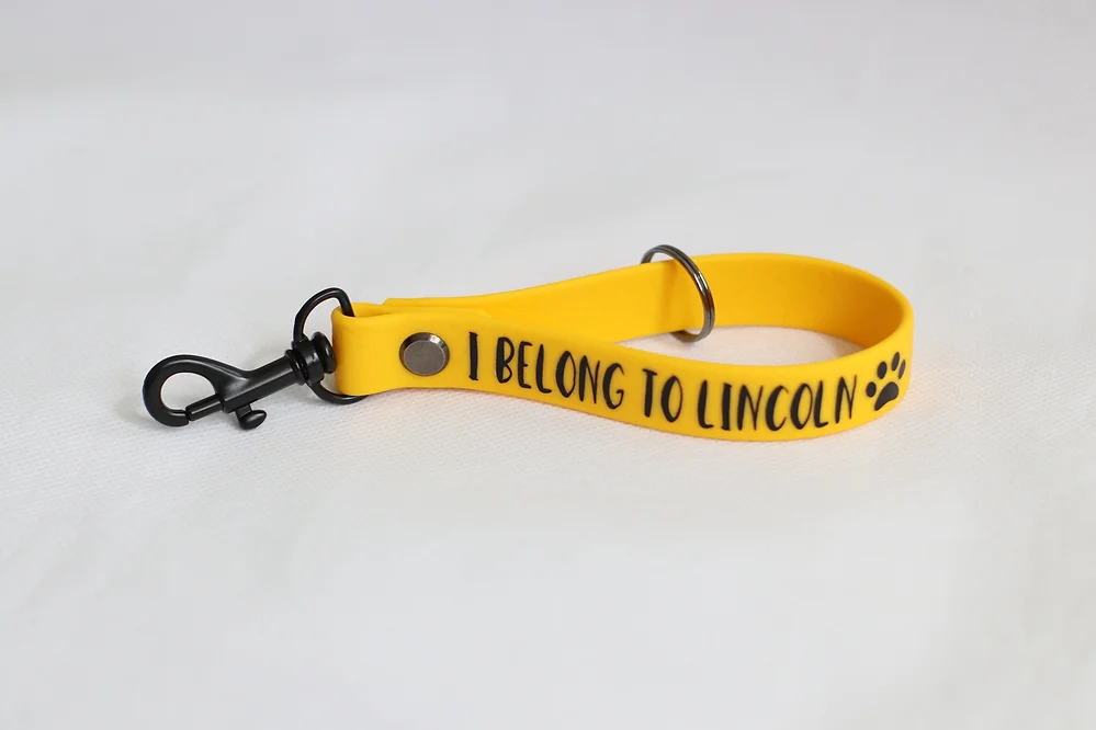 yellow key fob saying i belong to lincoln and dog paw