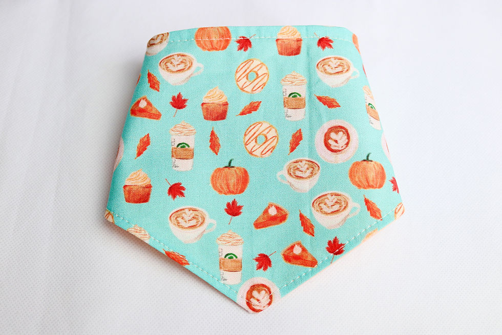 Thumbnail: Pumpkin Spiced Bandana