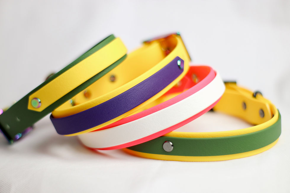 Thumbnail: Spyro Striped Collar