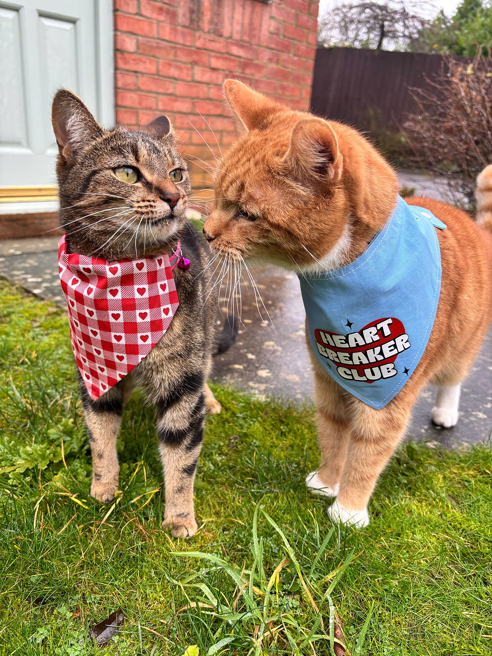 Thumbnail: Romeo Red Tartan Dog and Cat Valentines Bandana