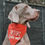 Thumbnail: Bitches Love Me Bandana