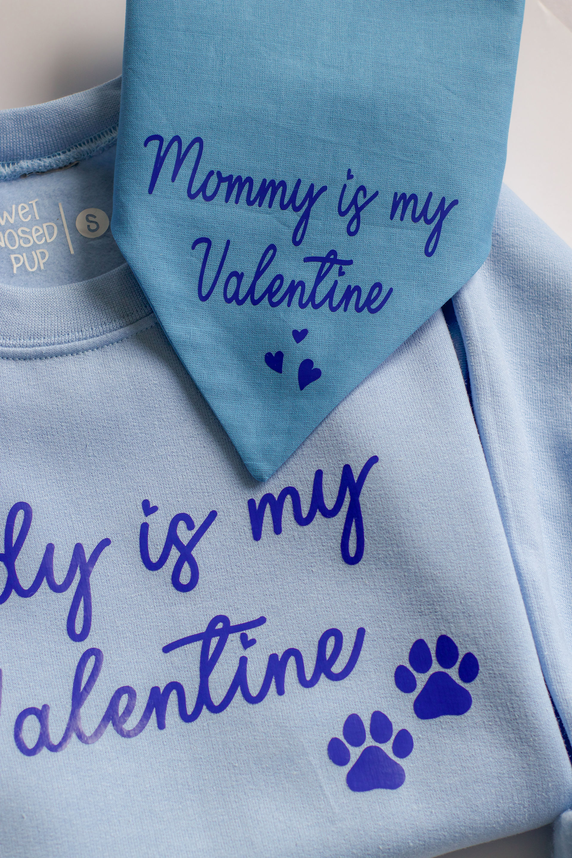 blue sweatshirt saying teddy is my valentine with two paws and a matching dog bandana saying mommy is my valentine with three hearts