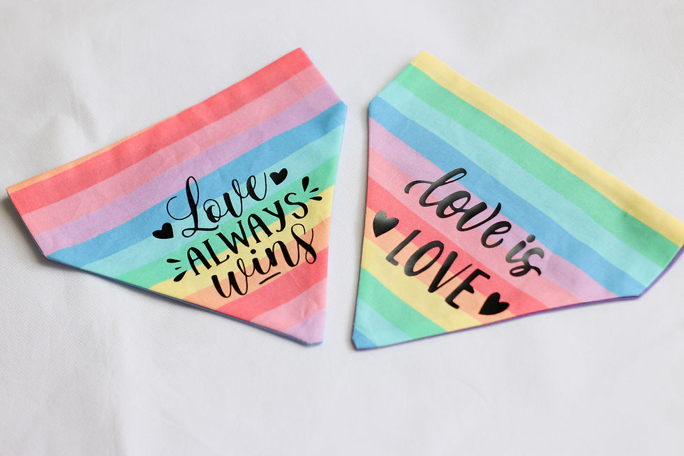 Thumbnail: Love is Love Bandana