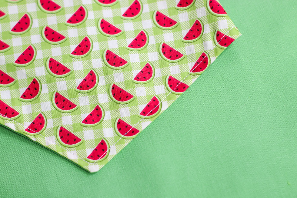 Thumbnail: Watermelon Sugar Bandana