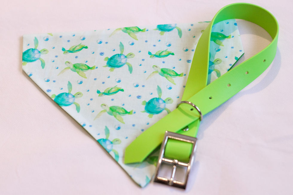 Thumbnail: Squirt Bandana