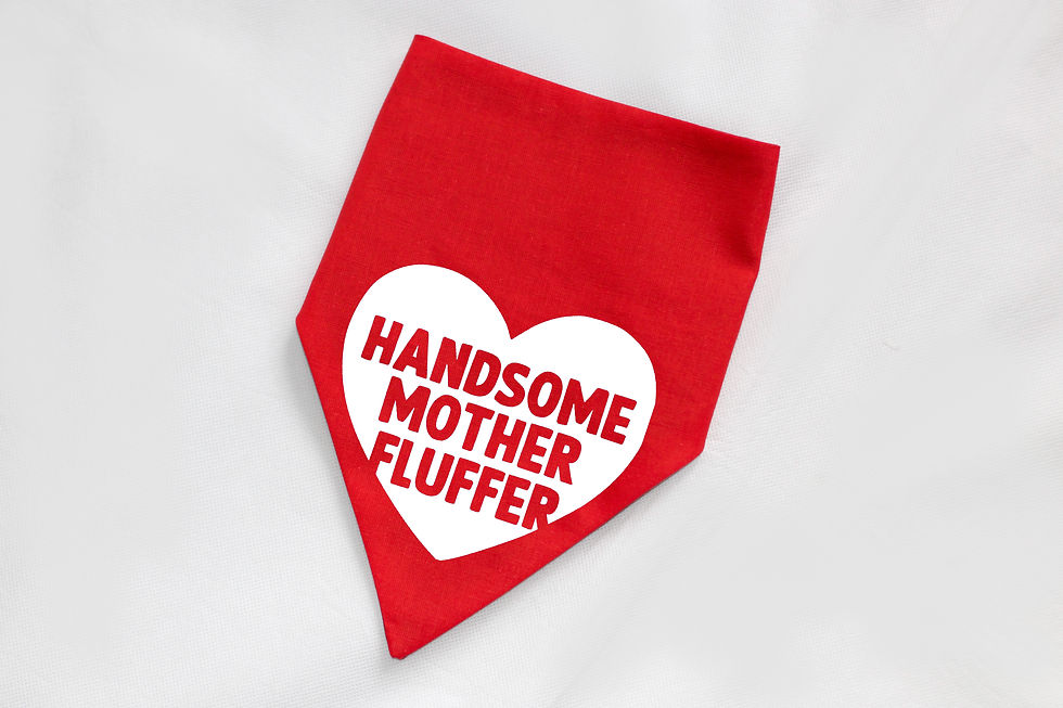 Handsome Mother Fluffer Dog and Cat bandana in red