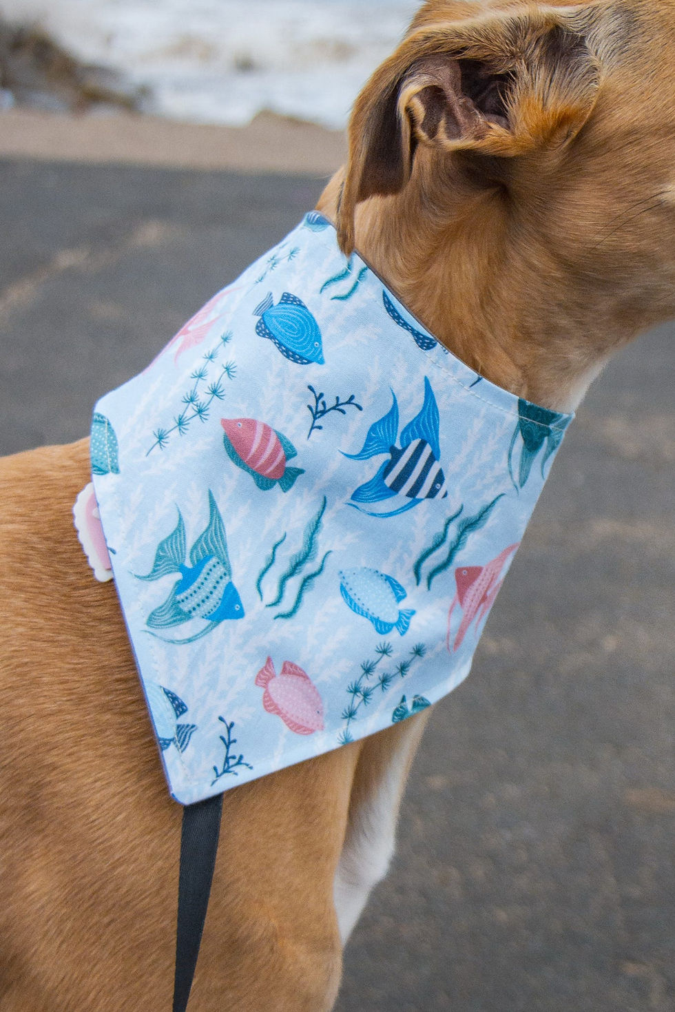 dog wearing Fin and Tonic Fish Bandana for Dogs & Cats