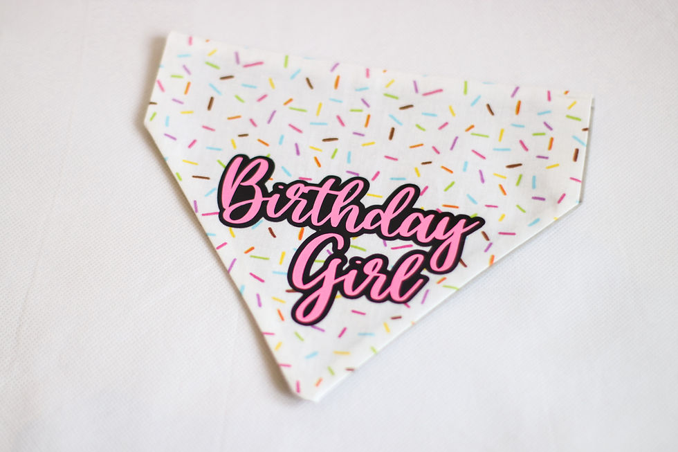 Thumbnail: Birthday Girl/Boy Sprinkles Bandana for Dogs & Cats