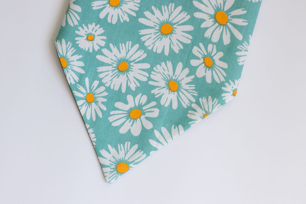 Thumbnail: Daisy Chain Flower Bandana For Dogs & Cats