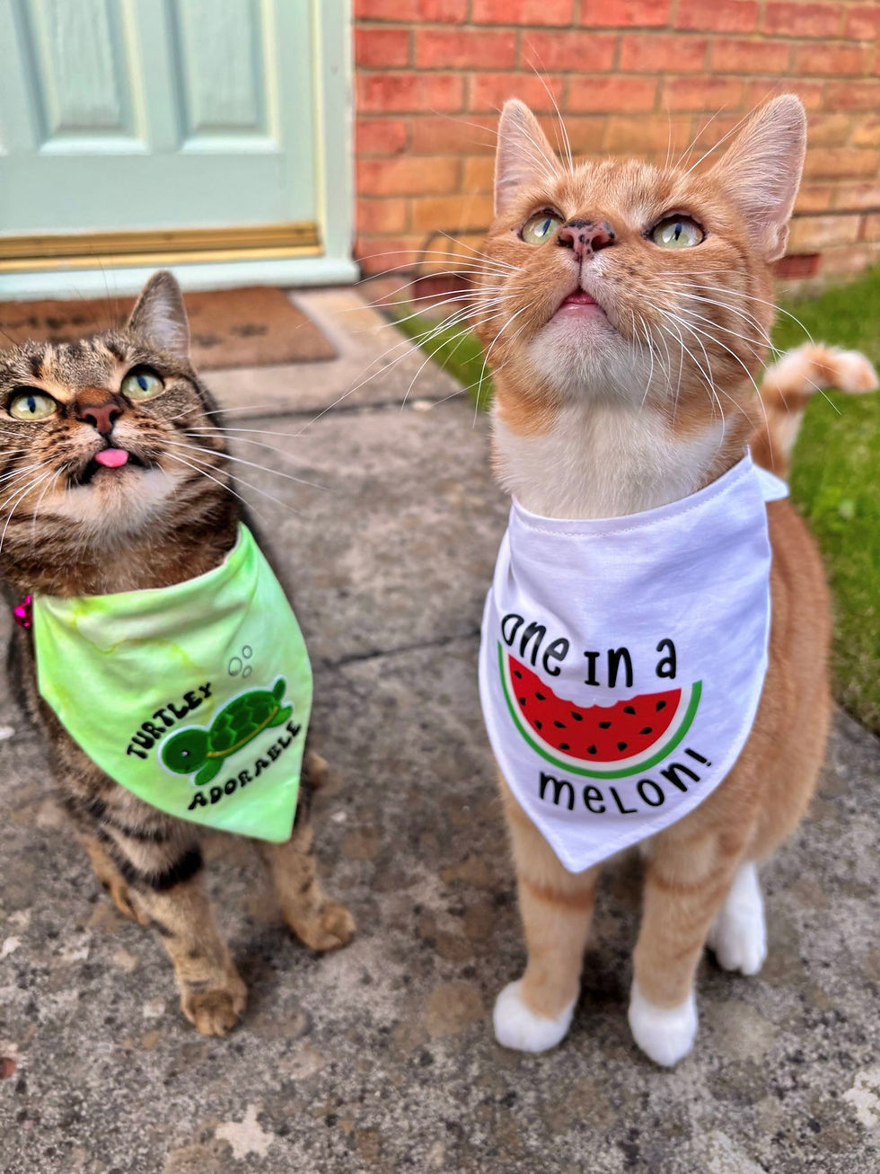 Thumbnail: Turtley Adorable / Shell Yeah Bandana for Dogs and Cats