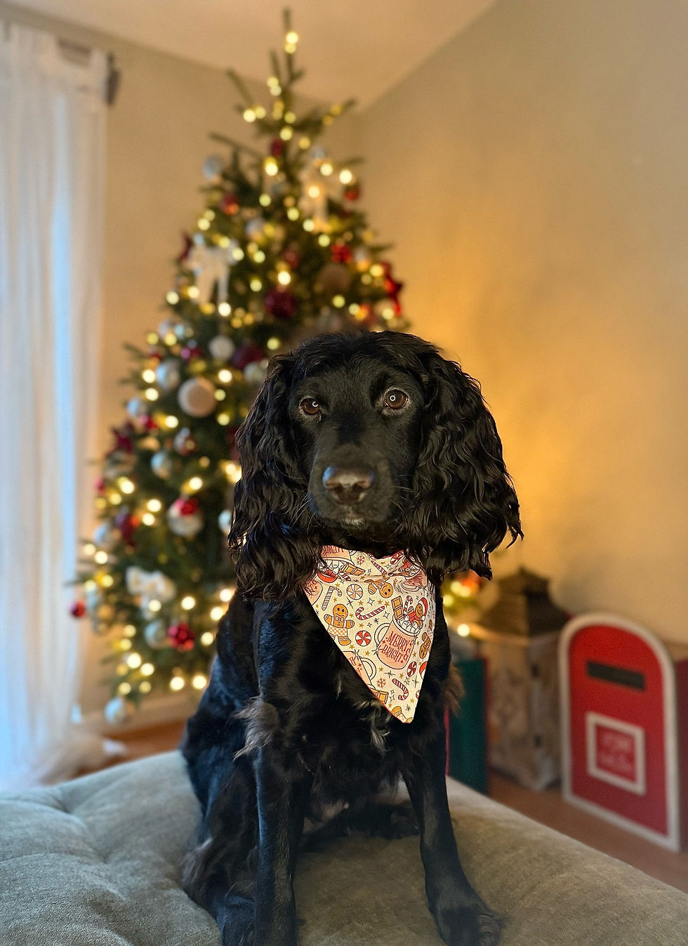 Thumbnail: Merry & Bright Bandana