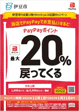 paypay20.webp