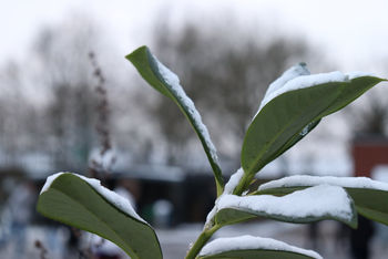 vinter.jpg