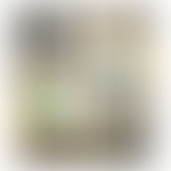 Celebrating the Sponsors Powering the Black & Gold Gala