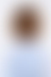 Meu corte do momento