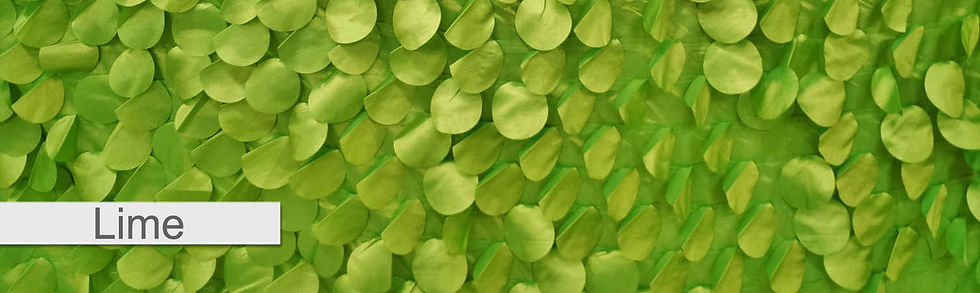 Thumbnail: FRENZY RUSTLING LEAVES