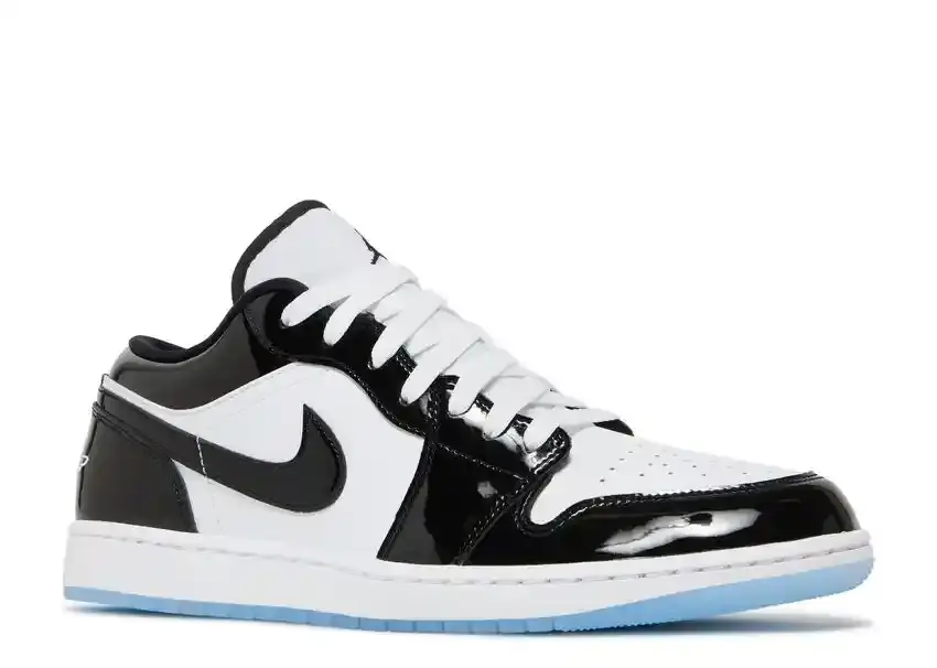 Jordan 1 low se concord view