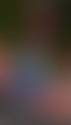 🚀 Speed, adrenaline, and triumph: the latest news from the karting track!