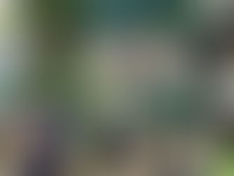 Собаки були врятовані і тепер бережно виховуються поки не набудуть нових господарів