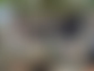 Маленькі патріоти - Великі Українці