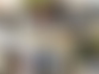 CFSR від IOM Ukraine до с. Мала Рогань доставили чергову допомогу