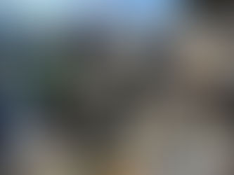 Чергова допомога від великого друга України пана Urmas Sõõrumaa з Естонії