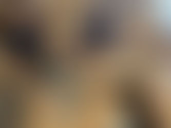 Проєкт «Допомога поруч»: Інвентар для ведення сільського господарства для родин ВПО в Савинській громаді