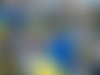 "США має визнати росію державою-терористом". — Софія Жук