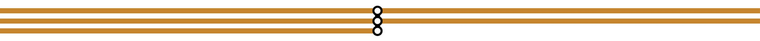 static.wixstatic.com image